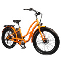 48V500W High Power Electric Bike with Pedals